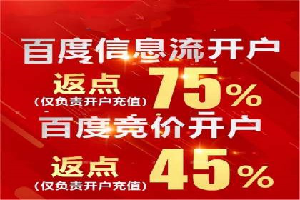 搜索引擎营销（SEM）在本地市场的应用案例